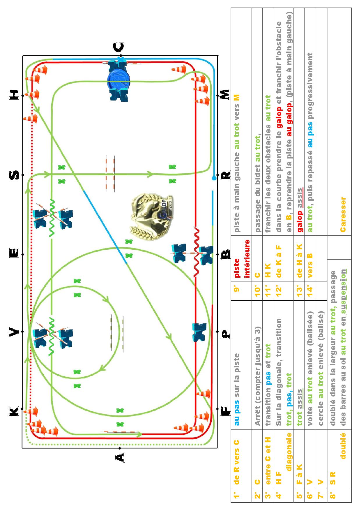 Transitions galop/trot sur le cercle - Dressage